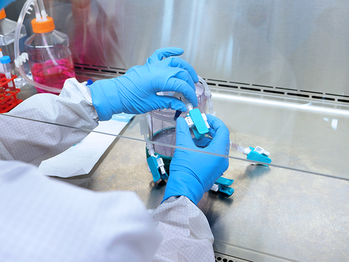 Bio-Safety-Cabinet-Luer-2