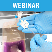 Scaling Cell Therapy Development from Research to Commercialization