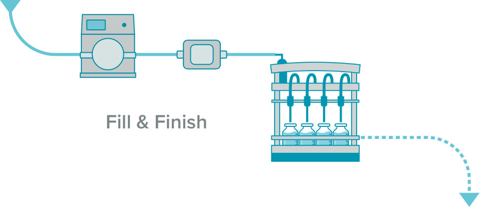 Fill and Finish